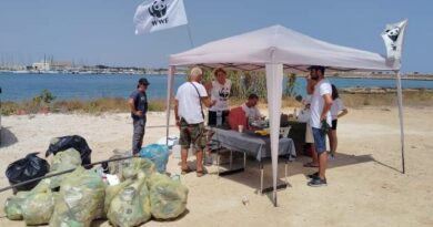 I Cittadini e le Associazioni si Uniscono per la Pulizia dell’Isola di Sant’Andrea: Un Esempio di Amore per l’Ambiente e il Patrimonio di Brindisi