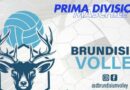 BRUNDISIUM VOLLEY:  salto di categoria  e   sfida  nella Prima Divisione Maschile