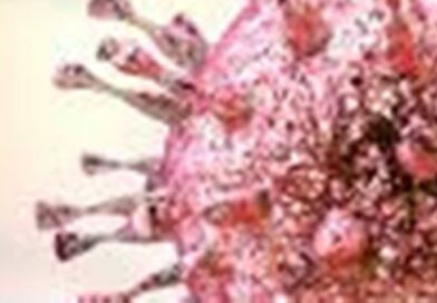 BRINDISI.Virus respiratorio sinciziale, da domani al via l’immunizzazione